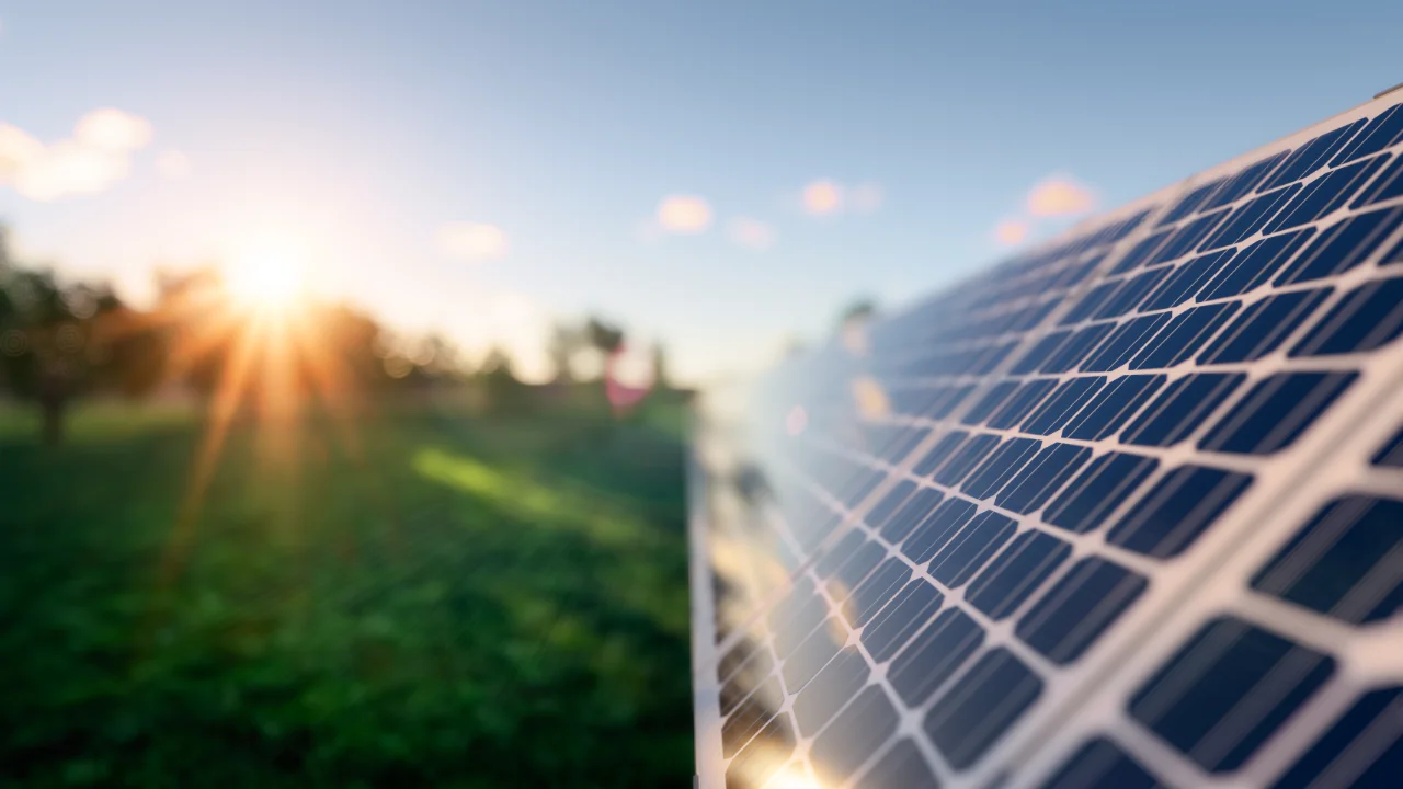 Close-up of solar panels outdoors with sunlight reflecting off the surface; grassy field and trees are visible in the background under a clear sky.